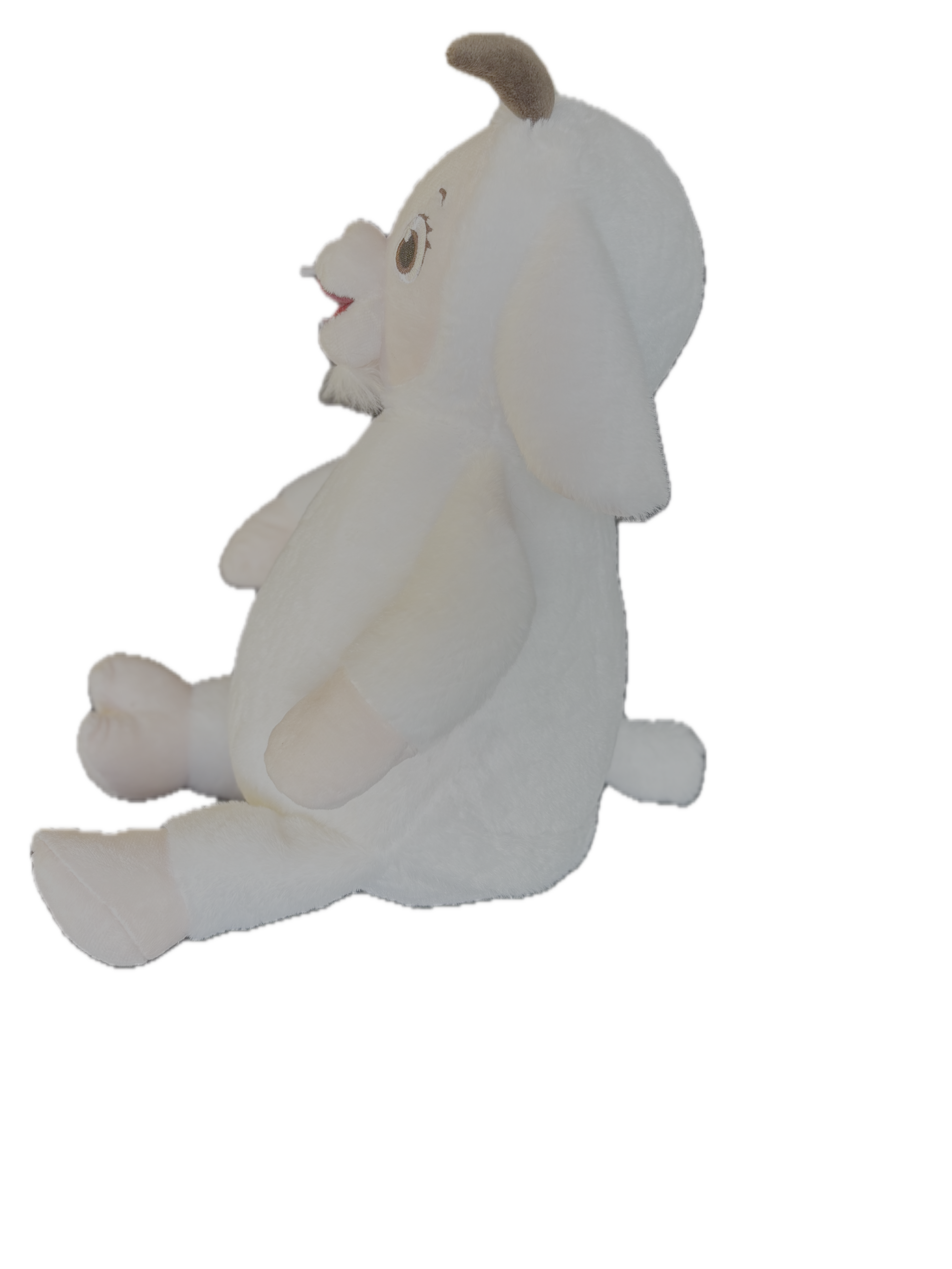 Broderies et Personnalisations 🐐