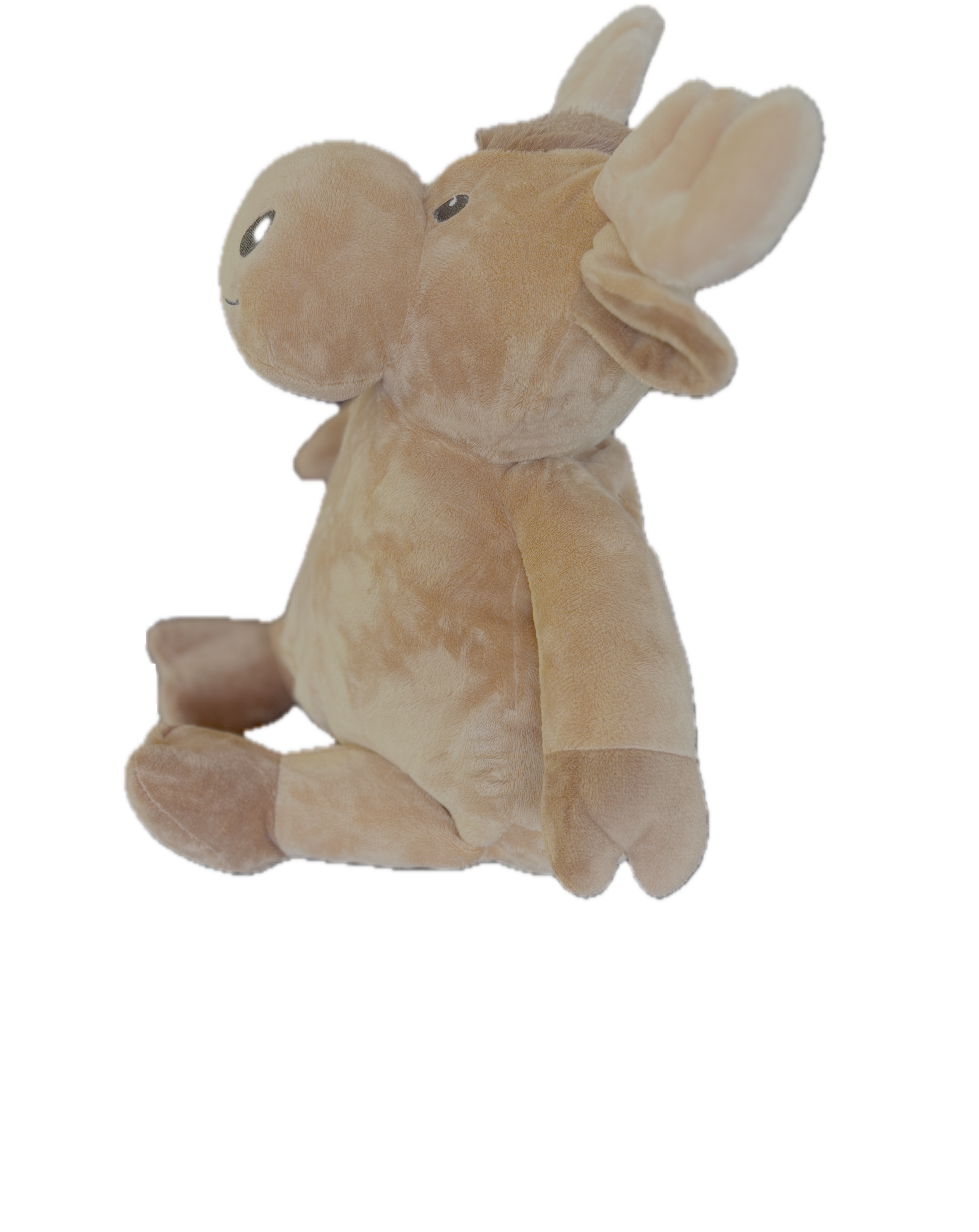 Broderies et Personnalisations 🦌