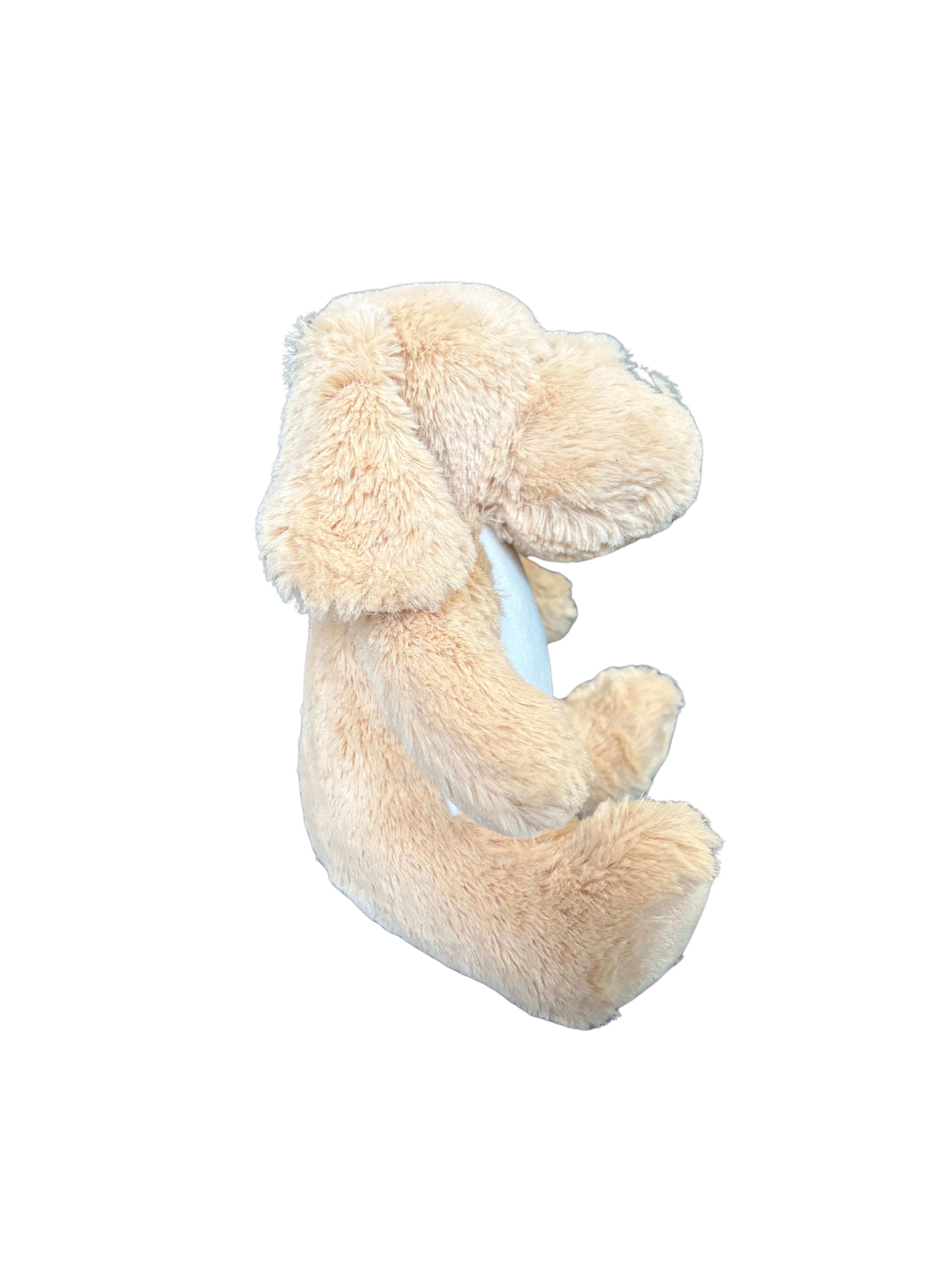 Flocage et personnalisations 🐶