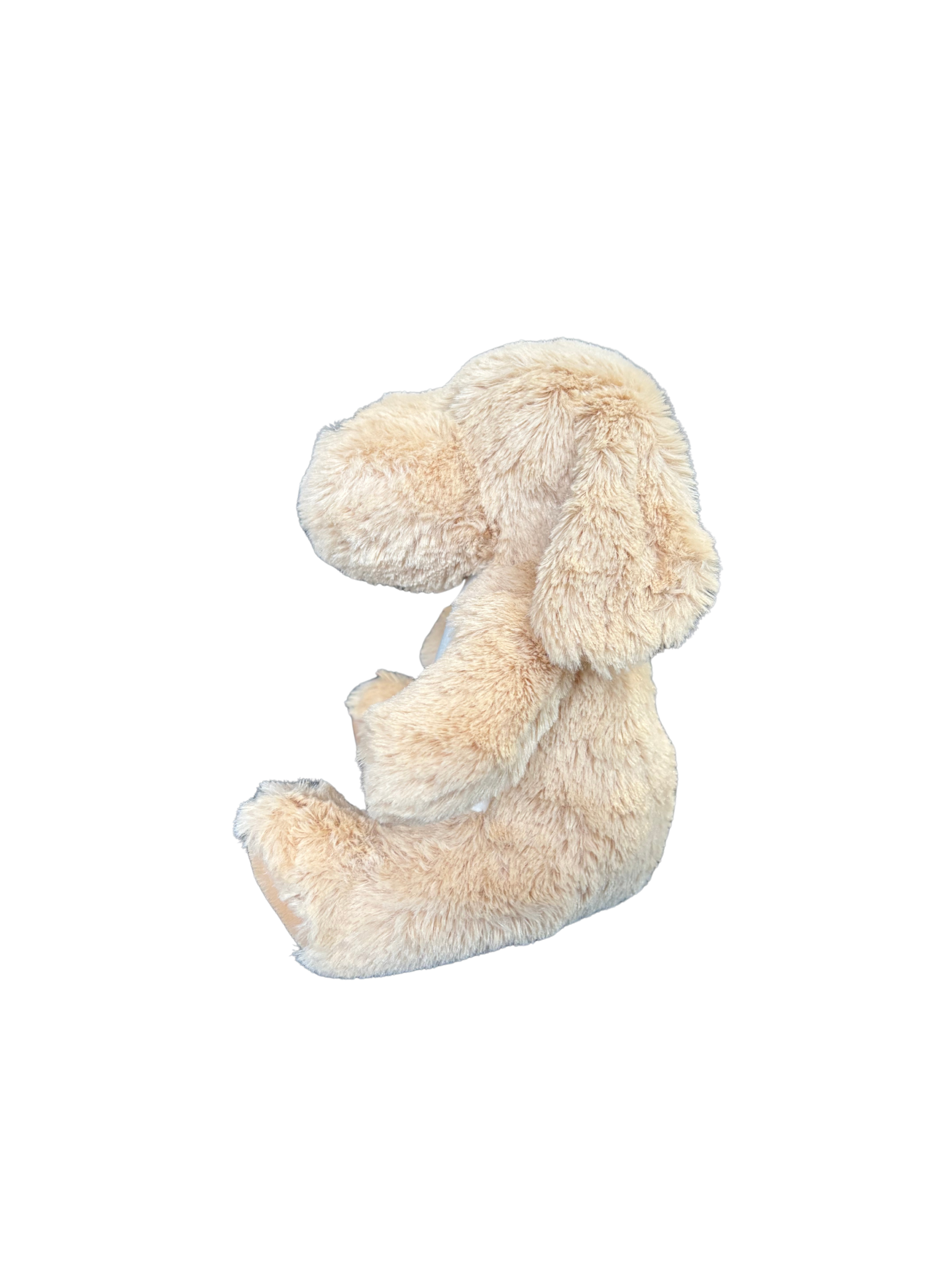 Flocage et personnalisations 🐶